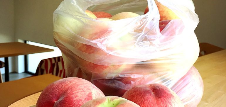 頂き物part2、7月のお休み