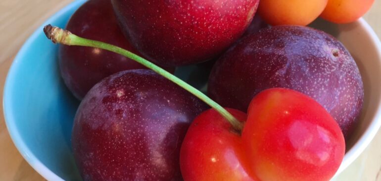 8/28(木)臨時休業