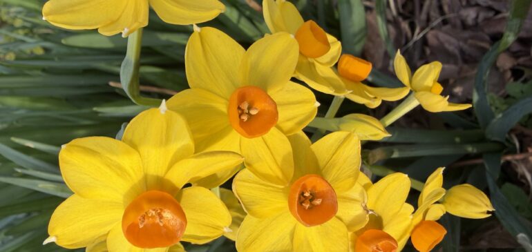 ３月臨時休業つづき